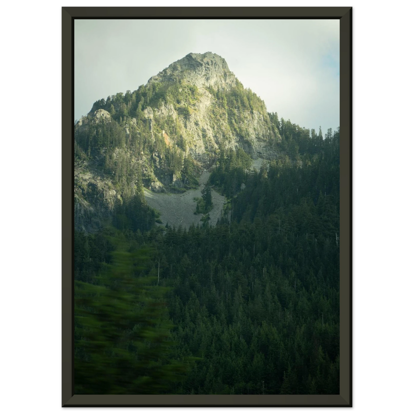 a88f1685-a897-4fc0-8434-813173518457