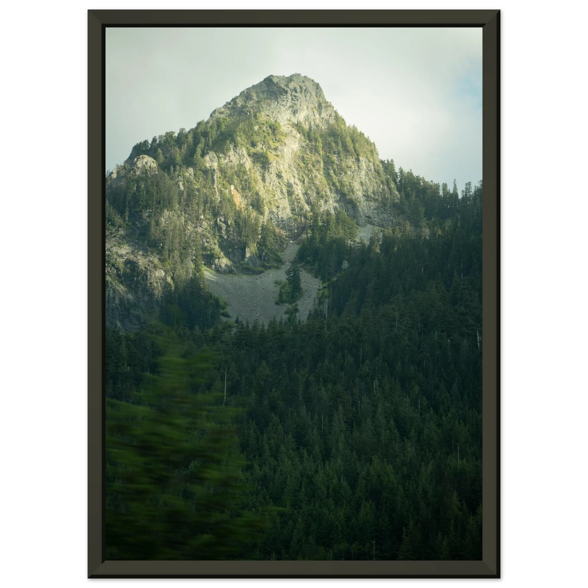 a88f1685-a897-4fc0-8434-813173518457